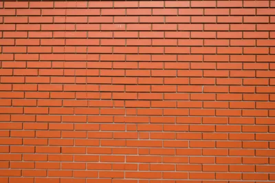 Illustration dislocation - Image 1