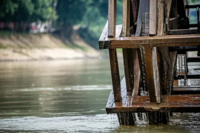 Hình ảnh minh họa paddles - Ảnh 1