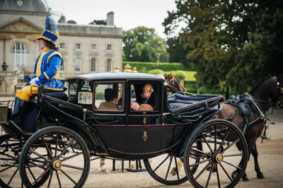 Illustration tigers - Image 1