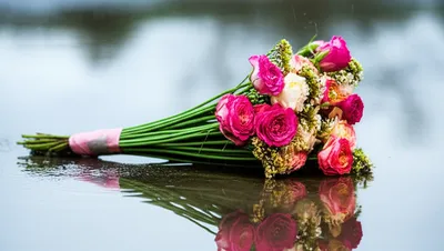 Illustration sour - Image 1