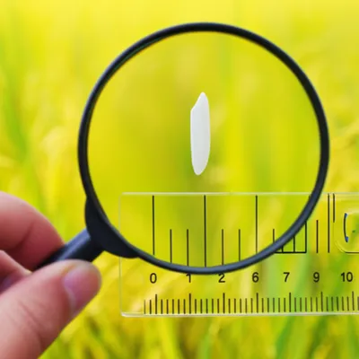 Illustration measured - Image 1