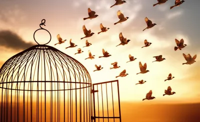 Illustration escapes - Image 1