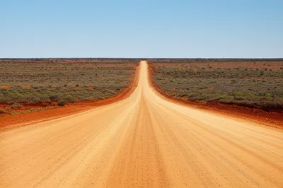 Illustration bush - Image 1