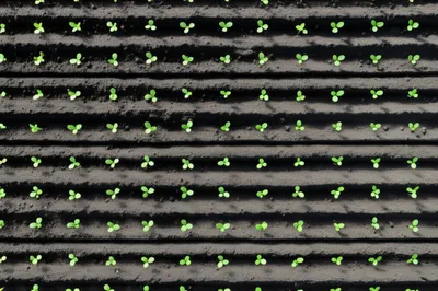 Illustration evenly - Image 1