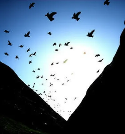 Illustration ascends - Image 1