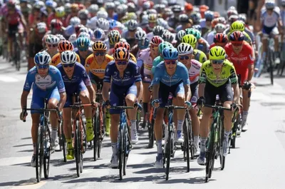 Illustration bunch - Image 1