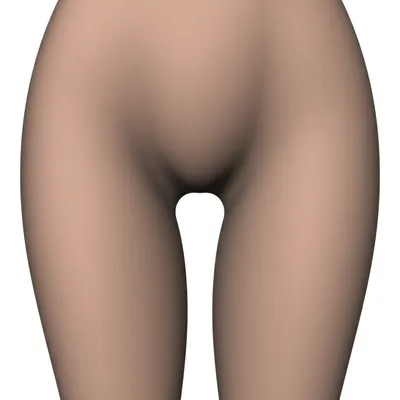 Illustration crotches - Image 1