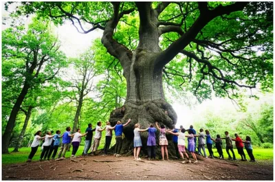 Illustration trusted - Image 1