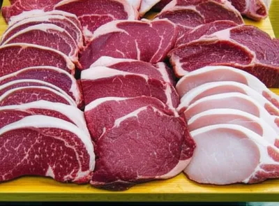 Illustration chops - Image 1