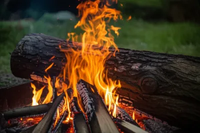 Illustration backlog - Image 1