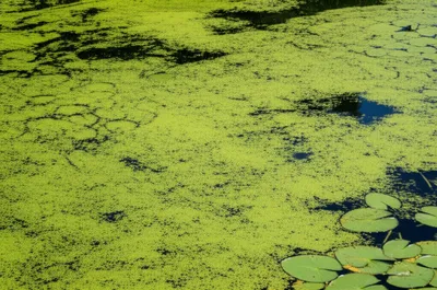 Illustration working - Image 1