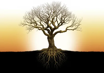 Illustration perennial - Image 1