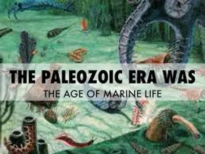 Illustration primary - Image 7