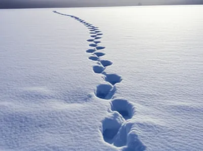 Illustration unaltered