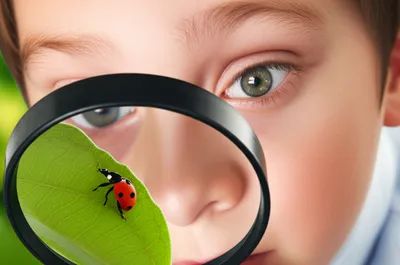 Illustration eyed - Image 1