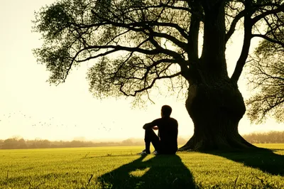 Illustration abide - Image 1