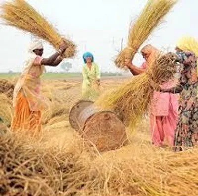 Illustration thresh - Image 2