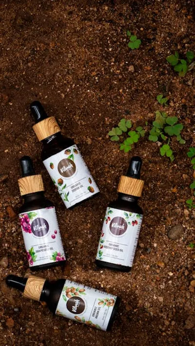 Illustration jojoba - Image 2