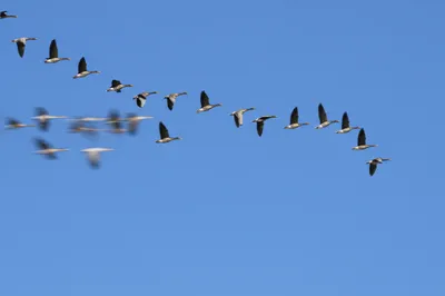 Illustration lag - Image 1