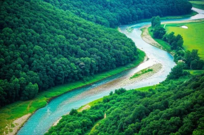 Illustration forks - Image 1