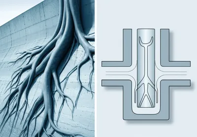 Illustration anchors - Image 2