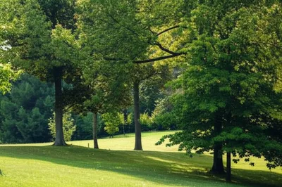 Illustration holt - Image 1