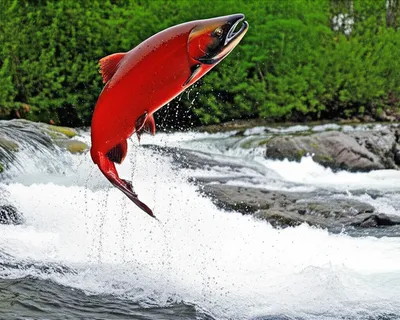 Illustration up - Image 1