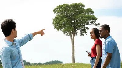 Illustration points - Image 1