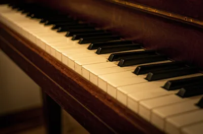 Illustration ivories - Image 1