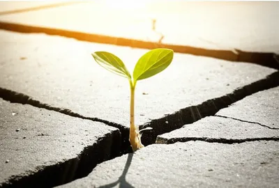 Illustration persists - Image 1