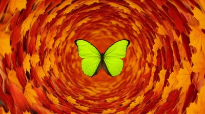 Illustration midst - Image 1