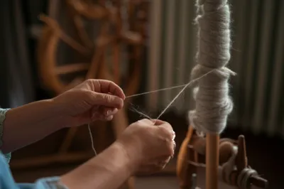 Illustration distaffs - Image 1