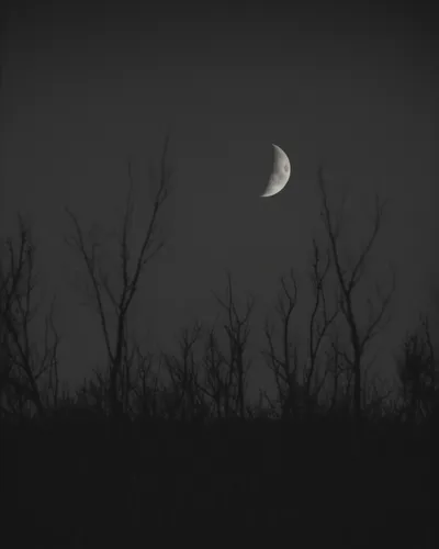 Illustration wane - Image 1