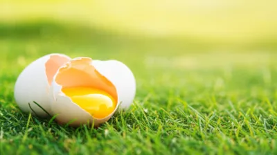 Illustration ey - Image 1