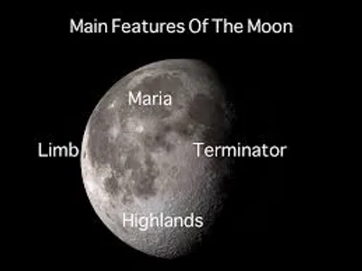 Illustration limb - Image 4