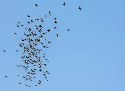 Illustration dissolve - Image 1