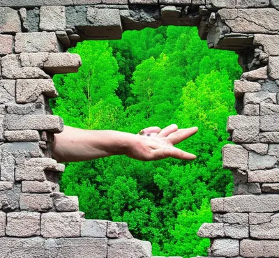 Illustration protracted - Image 1