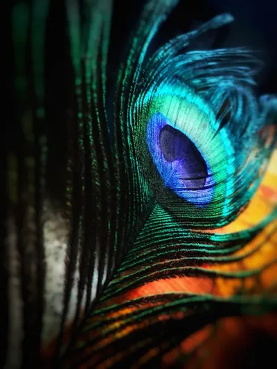 Illustration colourful - Image 2