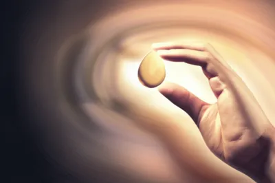 Hình ảnh minh họa vang