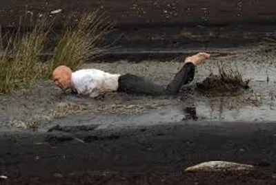 Illustration mire - Image 2