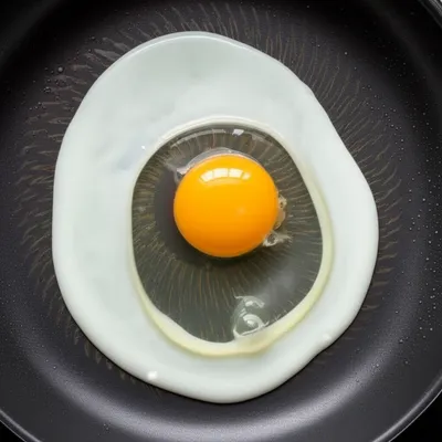 Illustration denature - Image 1