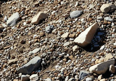 Illustration dirt - Image 1