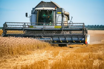 Illustration cropping - Image 1