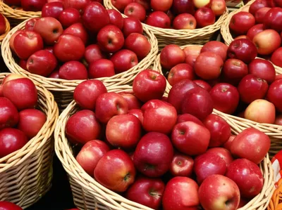 Illustration coefficient