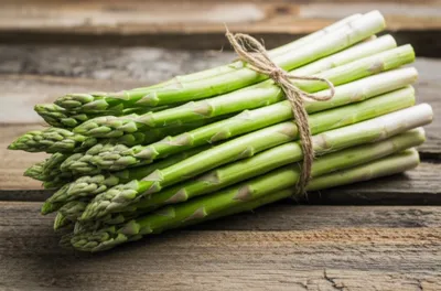 Illustration fascicles - Image 1