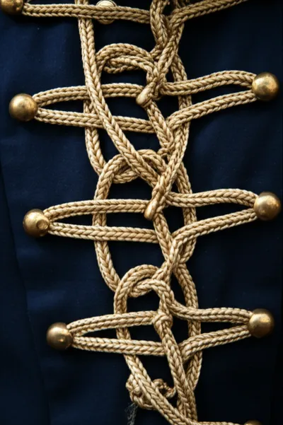 Illustration frogged - Image 1