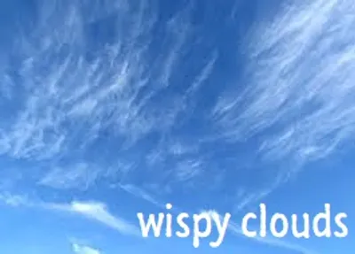 Illustration wispy - Image 2