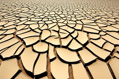 Illustration chinked - Image 1