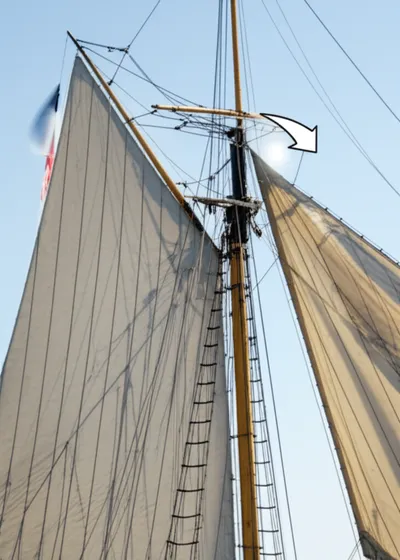 Illustration throat - Image 1