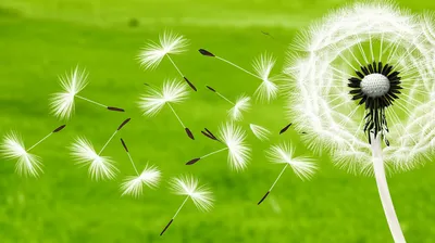 Illustration disseminated - Image 1